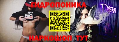 винт Будённовск