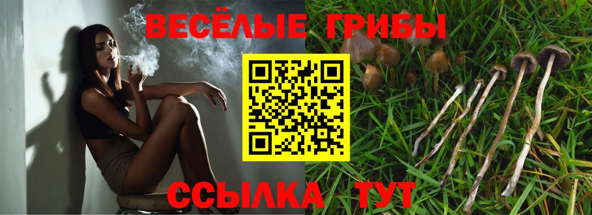 Псилоцибиновые грибы прущие грибы  Вход с VPN  Кулебаки  Псилоцибиновые грибы мухоморы 