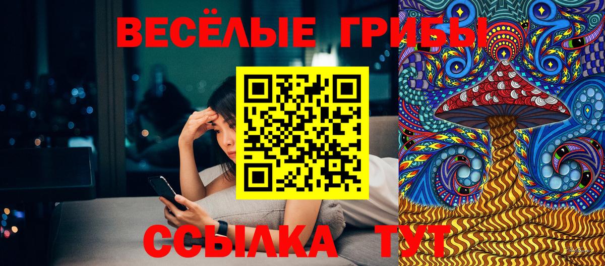 Псилоцибиновые грибы MAGIC MUSHROOMS Кулебаки